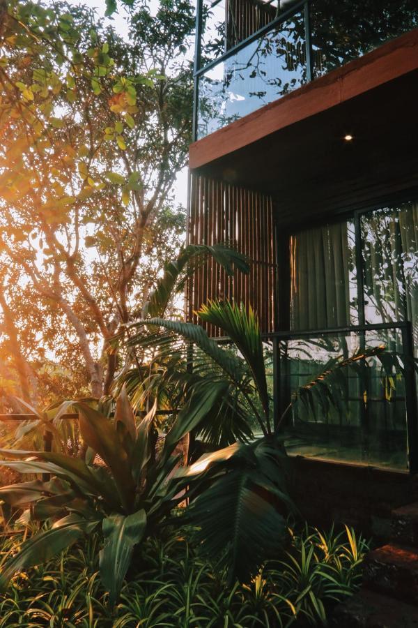 Amazonika Boutique Resort Arpora Ngoại thất bức ảnh