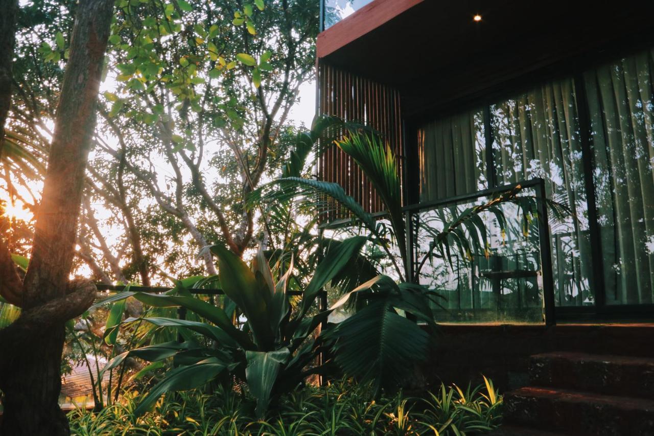 Amazonika Boutique Resort Arpora Ngoại thất bức ảnh
