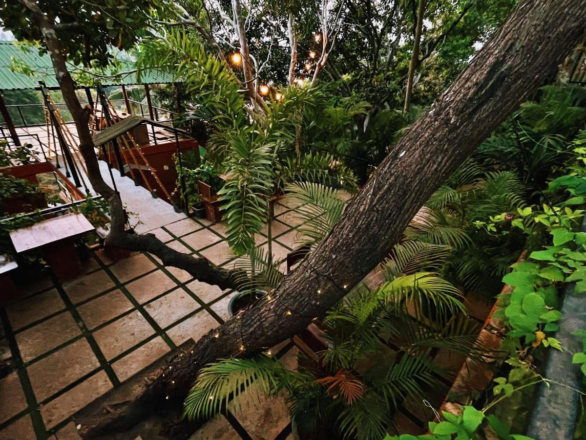 Amazonika Boutique Resort Arpora Ngoại thất bức ảnh